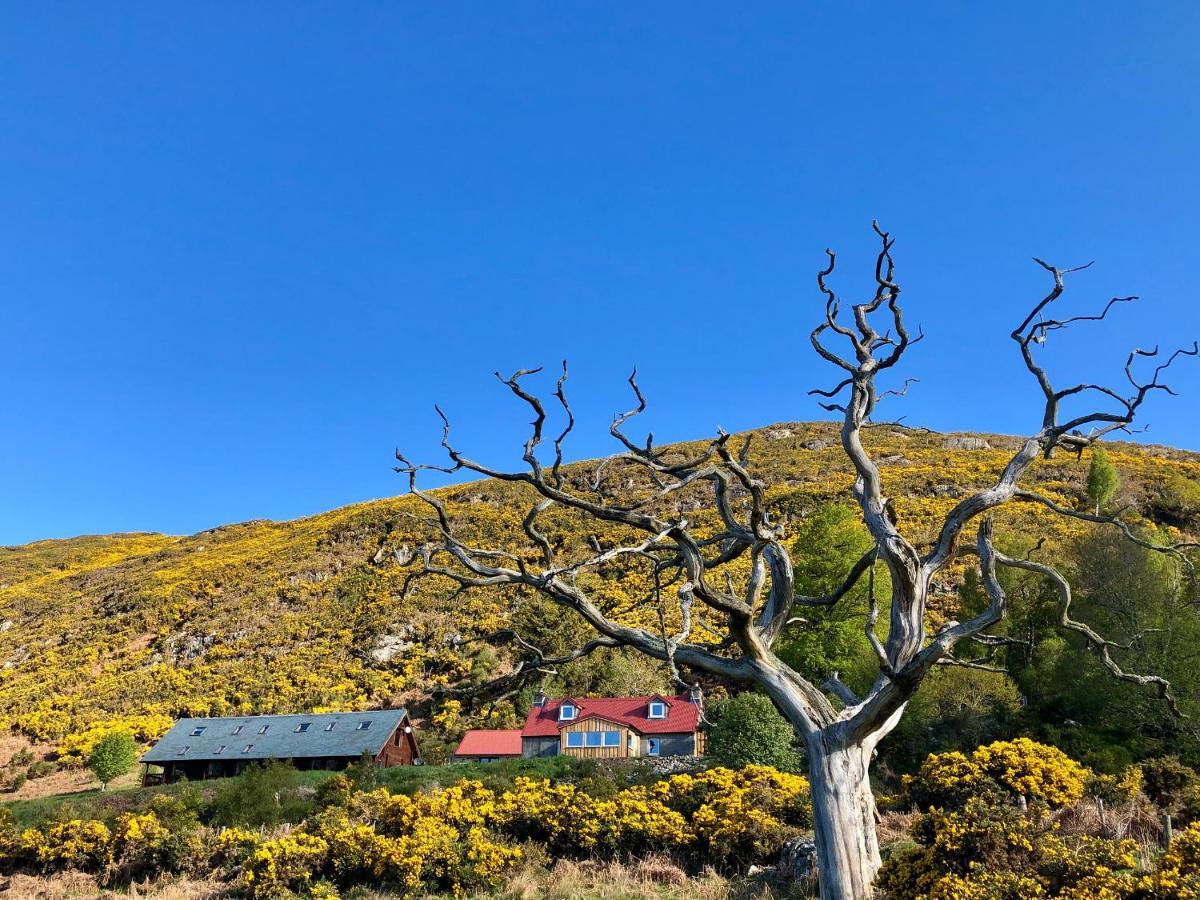 Nan'S Cottage ビューリー エクステリア 写真